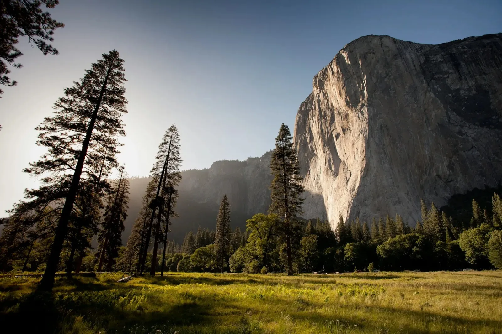 Cliffs above a forest valley